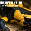 Как обновить Ubuntu 13.04 Raring до Ubuntu 13.10 Saucy Salamander 