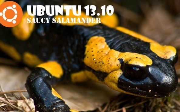 ubuntu 13_10- Saucy Salamander
